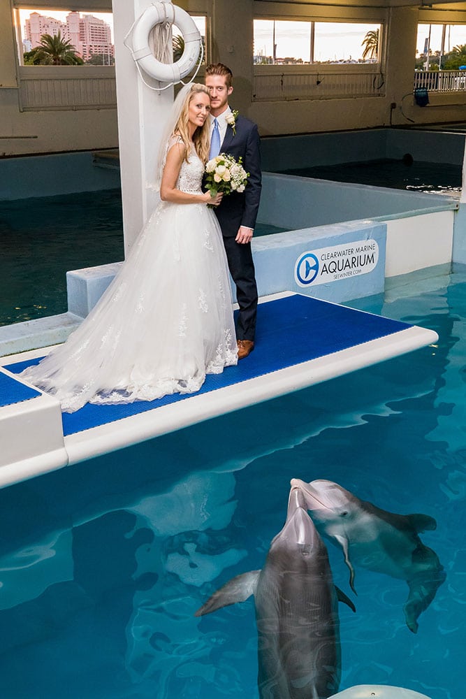 dolphin wedding