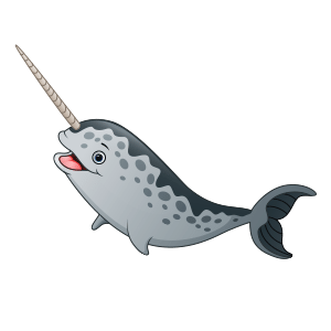 narwhal