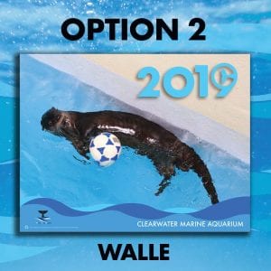 2019 calendar cover walle