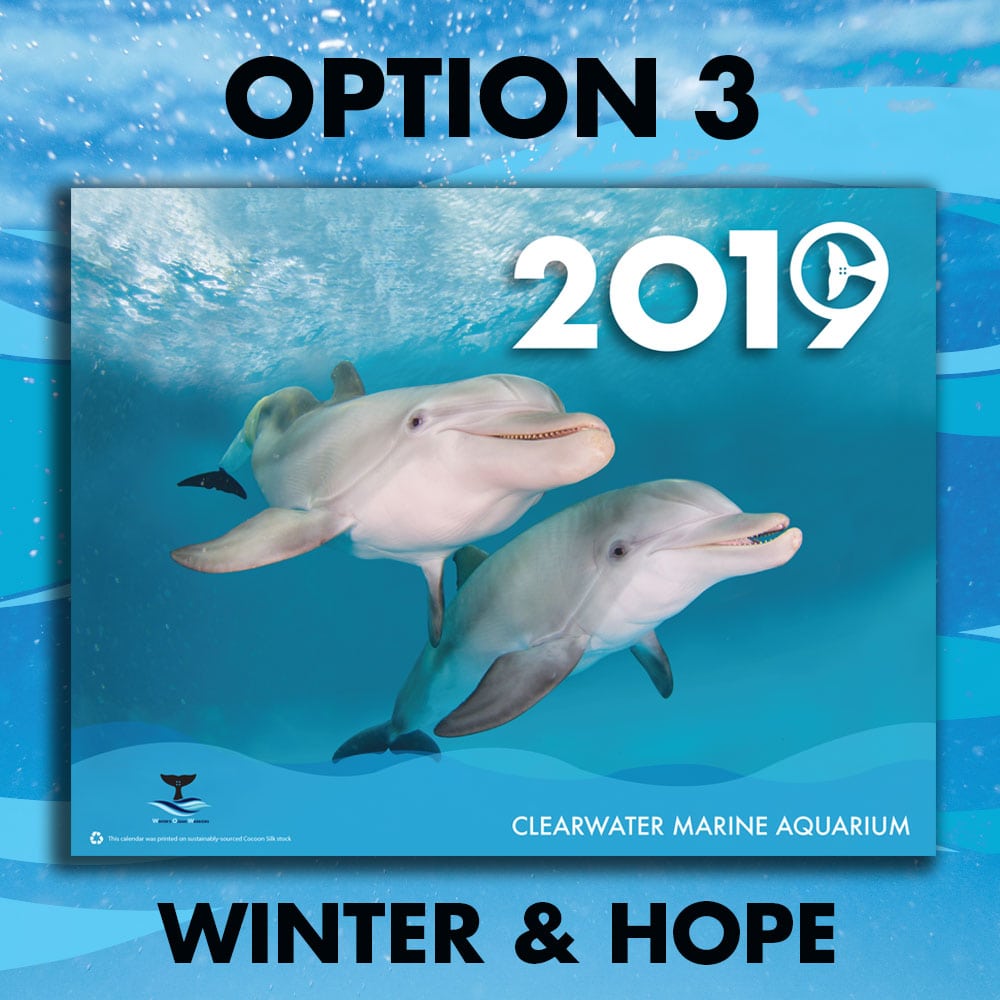 2019 Calendar Clearwater Marine Aquarium