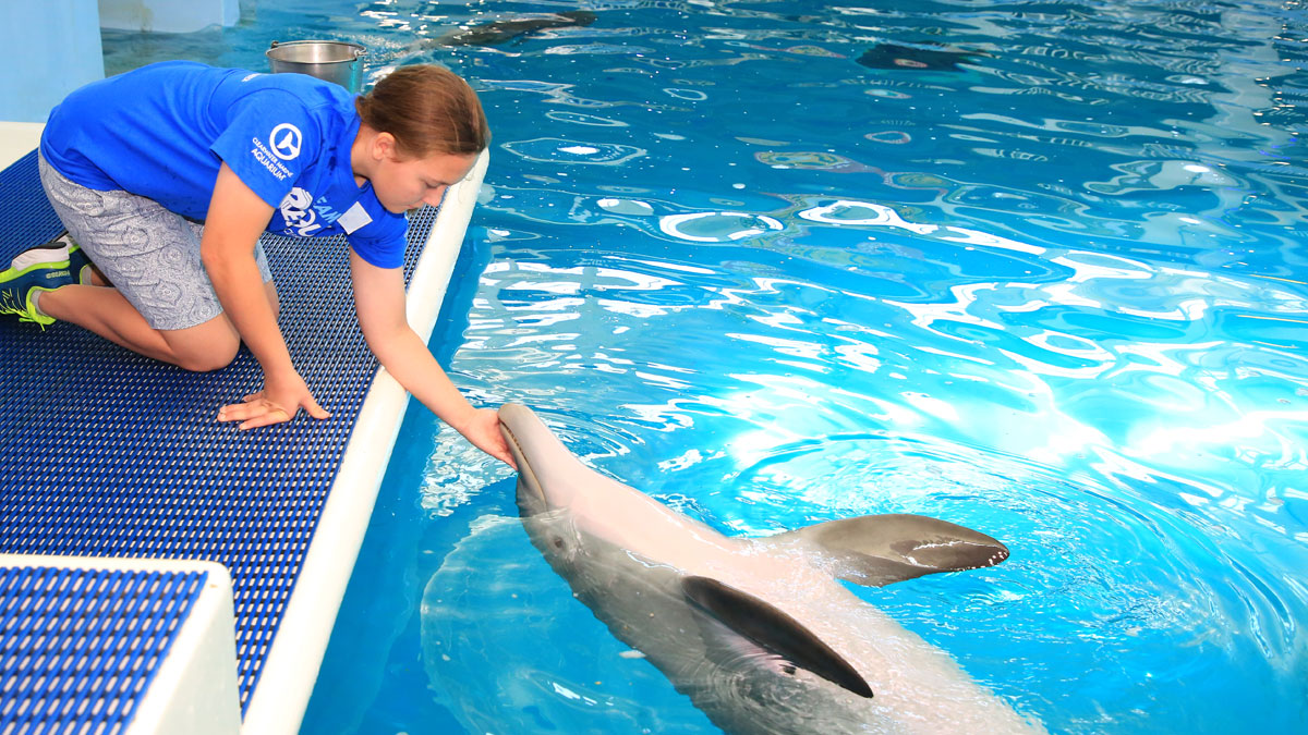 Jordan with dolphin on platform