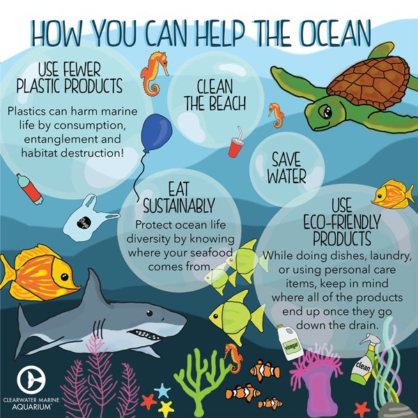 how you can help the ocean infographic