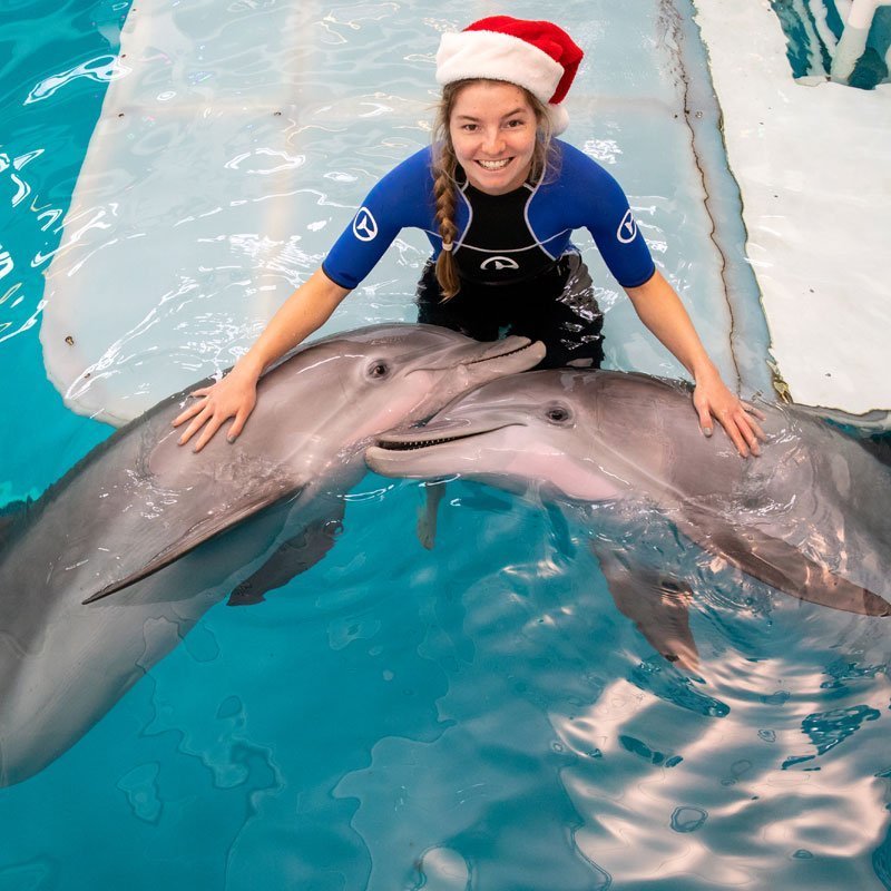 winter and hope dolphins with holiday animal care team