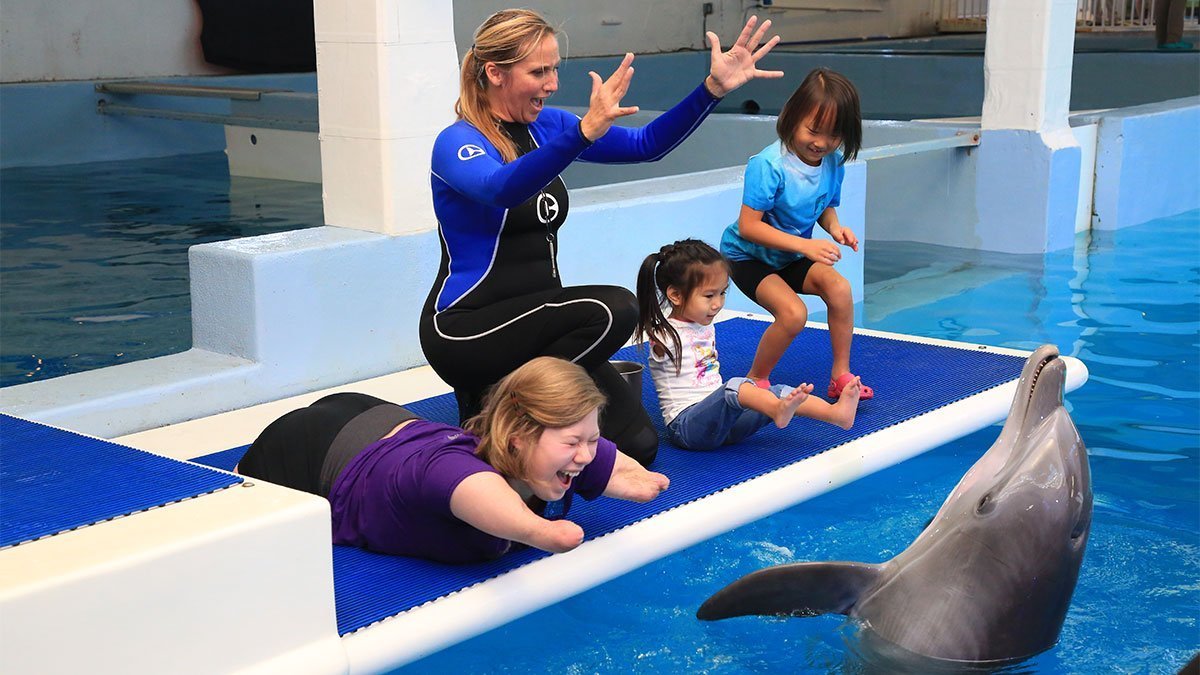 Camp No Limits participants meeting dolphins