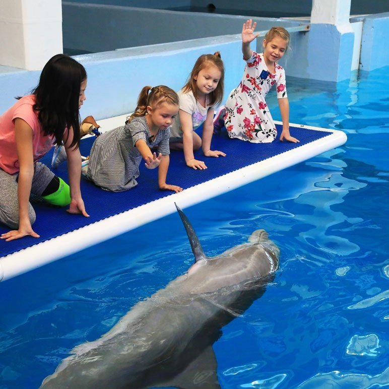 Camp No Limits group of girls waving at dolphin