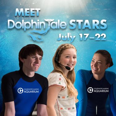 Dolphin Tale Stars