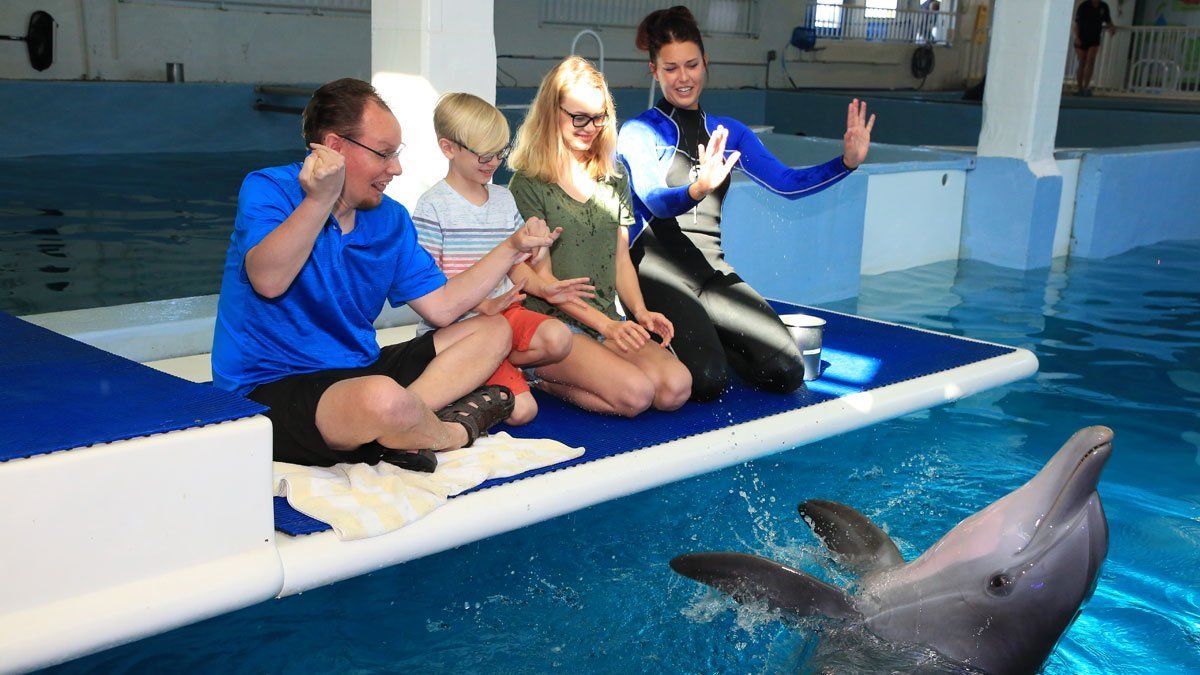 Family on dolphin platform