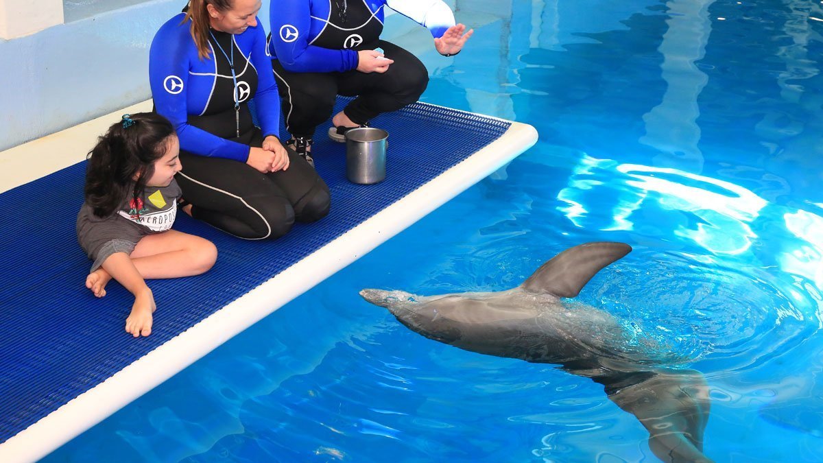 Luciana meeting dolphins on platform