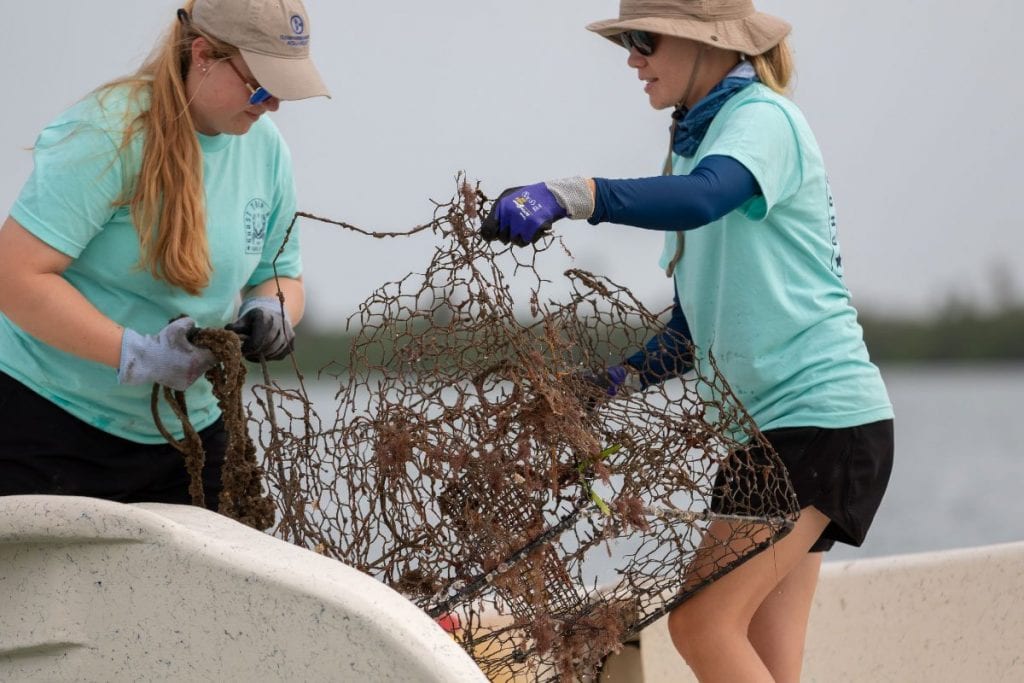 crab trap cleanup