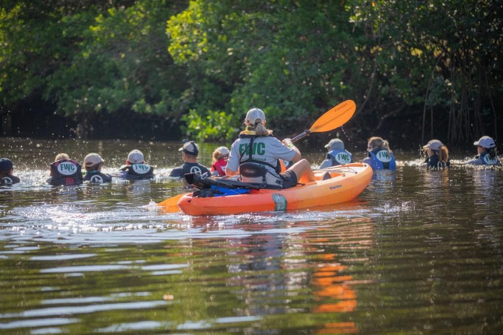 Rescuers from CMA, FWC and NOAA formed a human chain to help dolphins