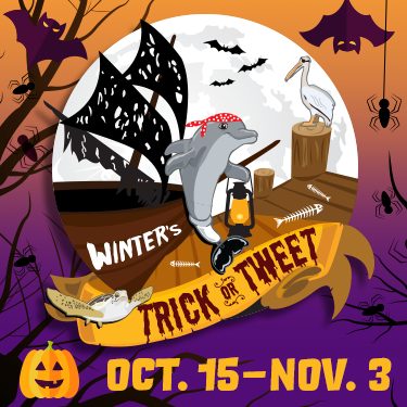 Winter's Trick or Tweet