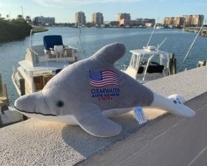 Winter Patriotic Plush