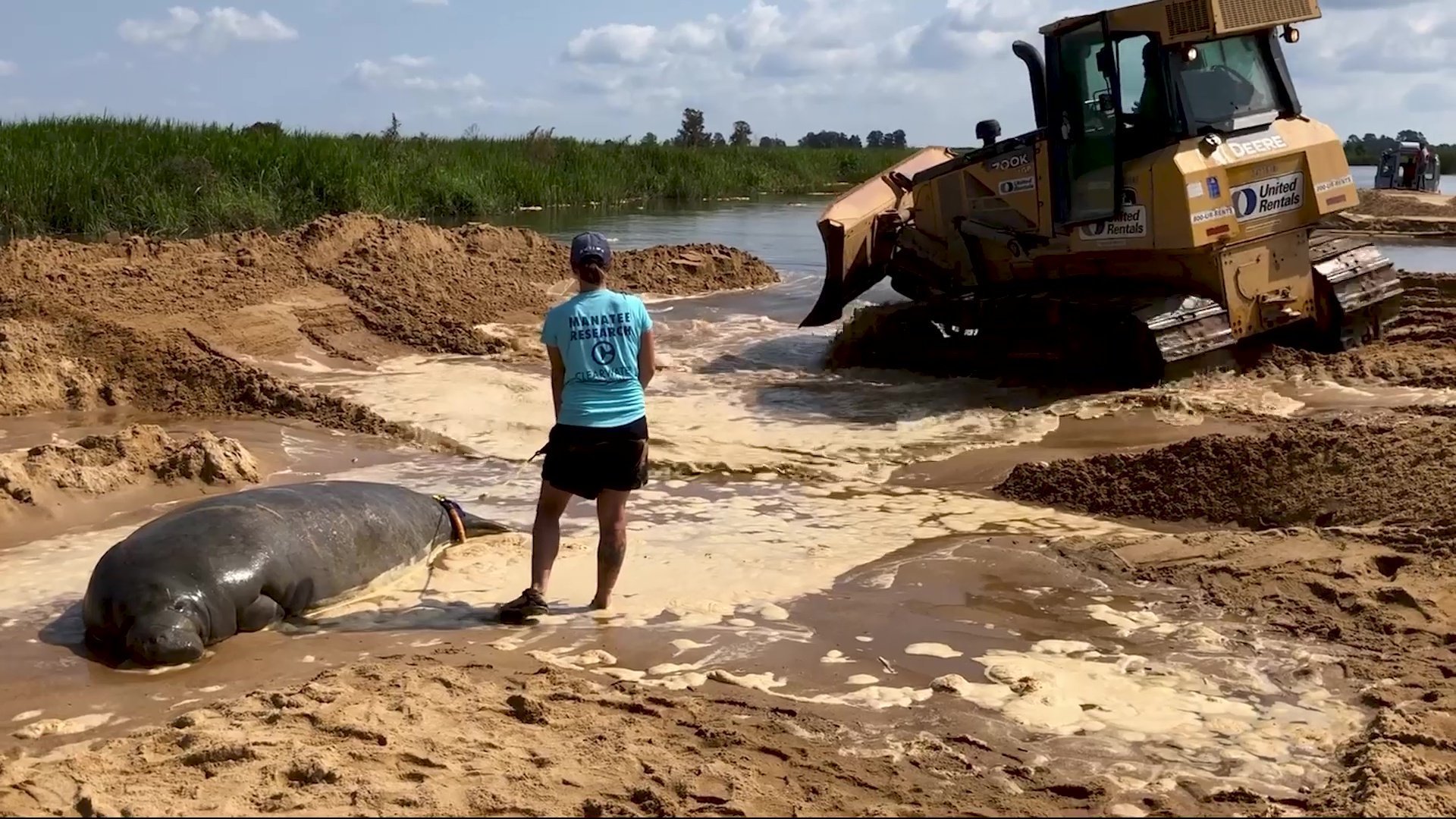 georgia-manatee-rescue-2019.10.1.jpg