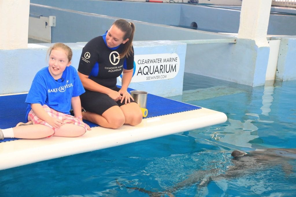 Download Winter's 14th Rescue Anniversary - Clearwater Marine Aquarium