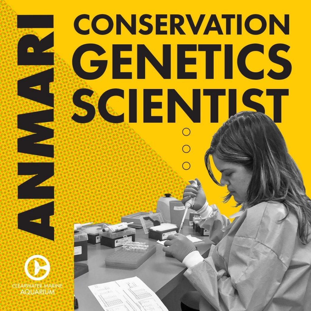 Anmari, conservation genetics scientist