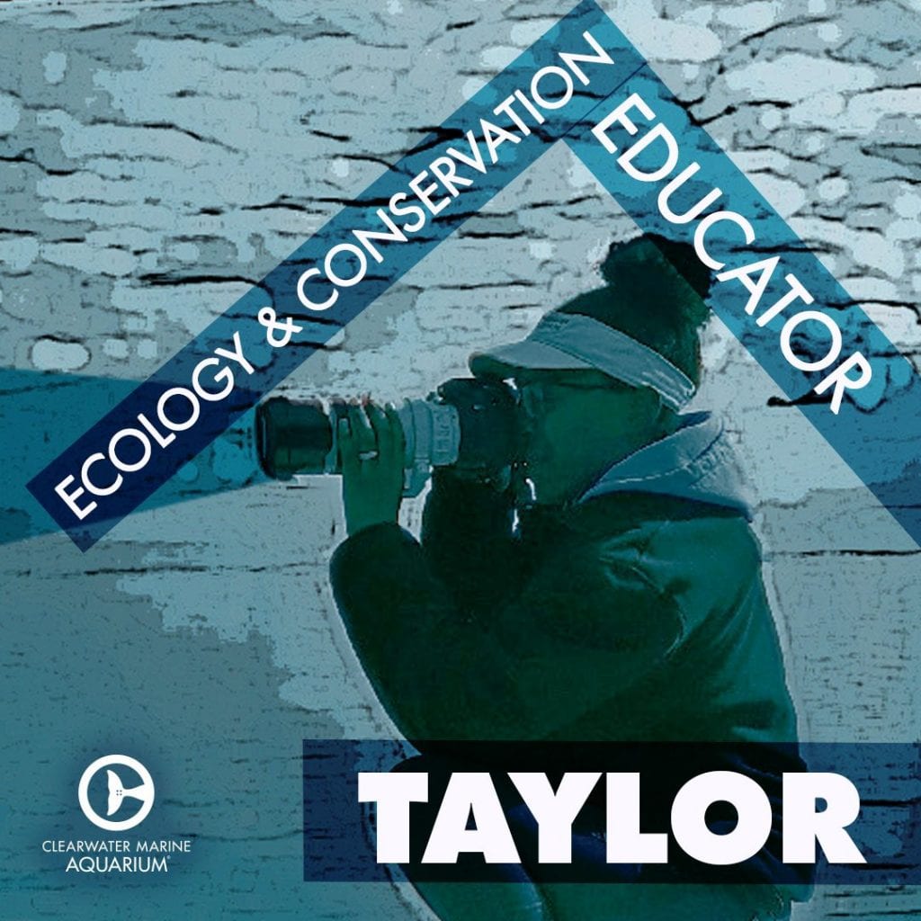 Taylor, ecology and conservation educator