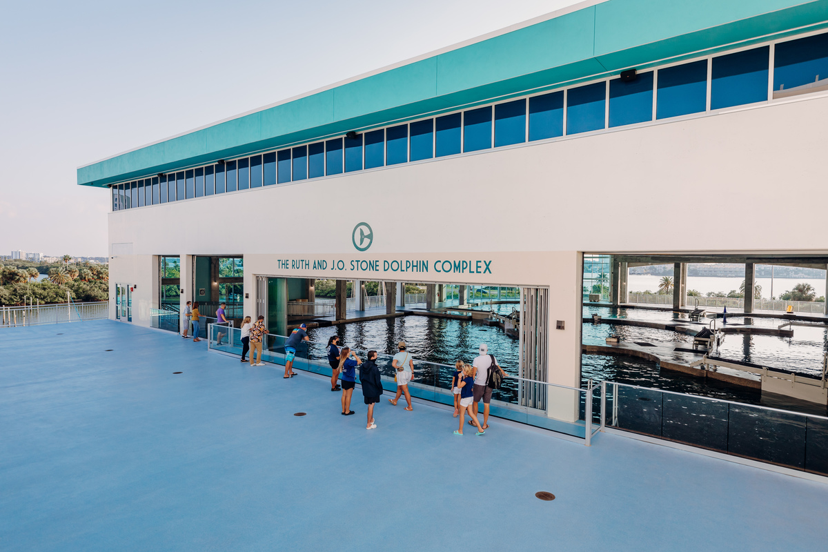 Experiences & Exhibits Clearwater Marine Aquarium