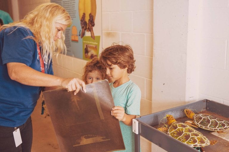 Animal Specialist Teaching Kids about Turtles Behind the Scenes Tour