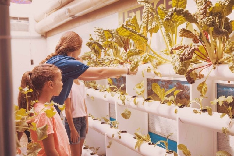 Girls Learning About the Aquaponics