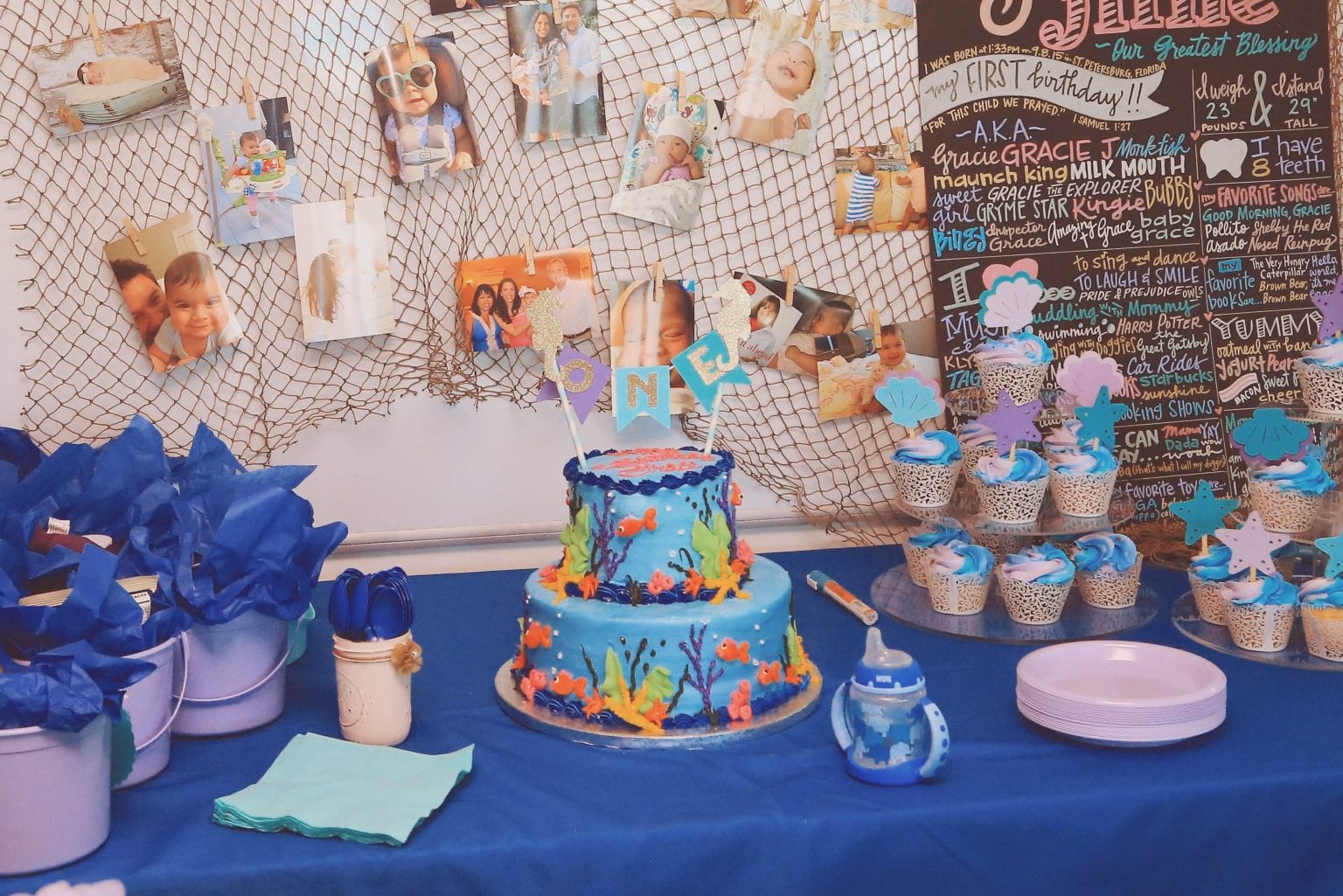 Clearwater marine aquarium discount zoovirt