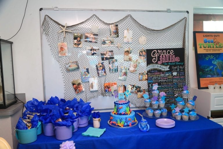 Birthday Parties Clearwater Marine Aquarium