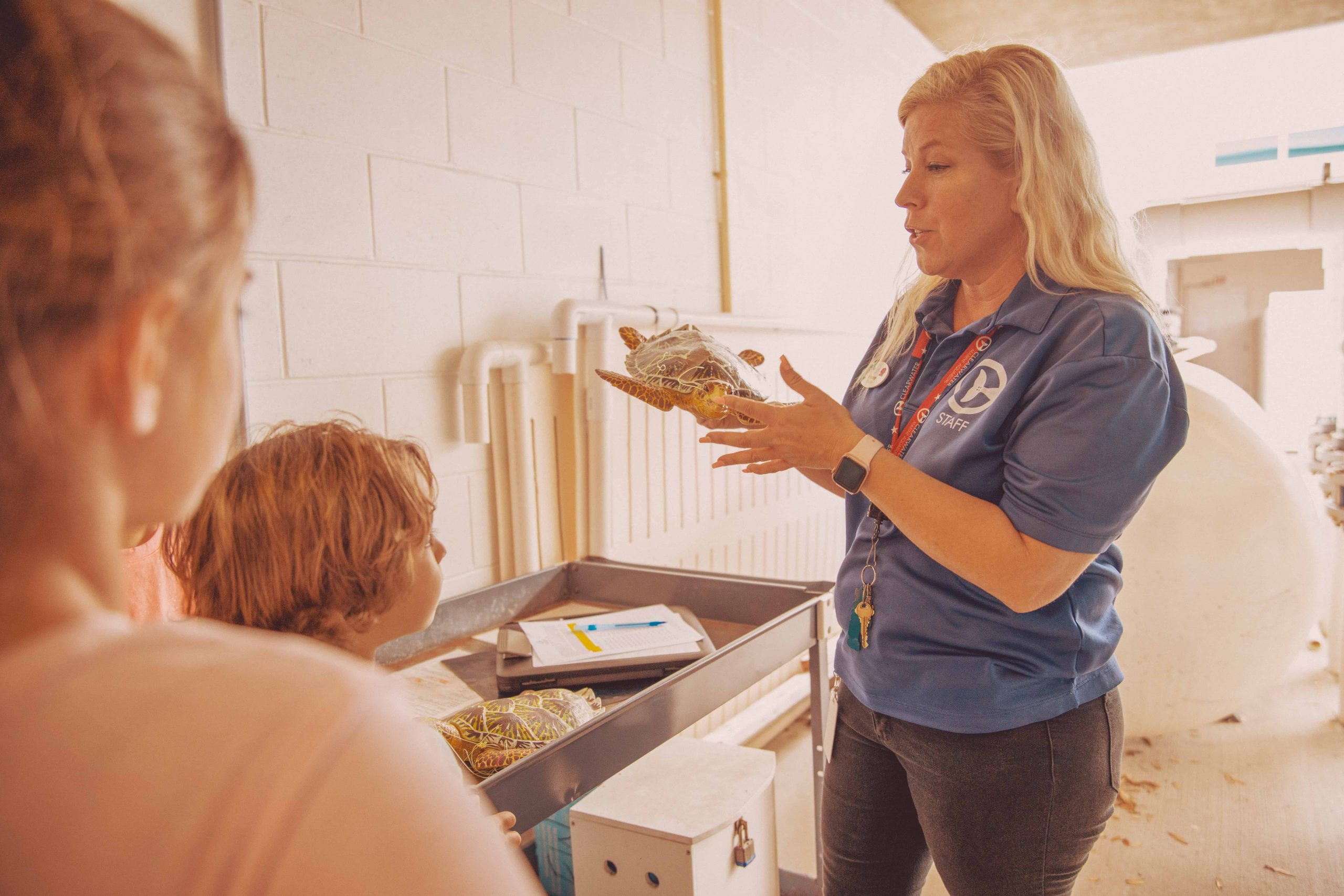 CMA Staff Teaching About Turtles in Behind the Scenes Tour