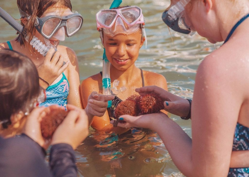 Summer Camp With Winter Hope Clearwater Marine Aquarium