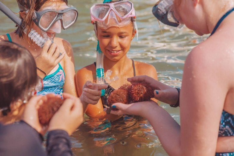 Kids Snorkeling at Clearwater Marine Aquarium Summer Camp