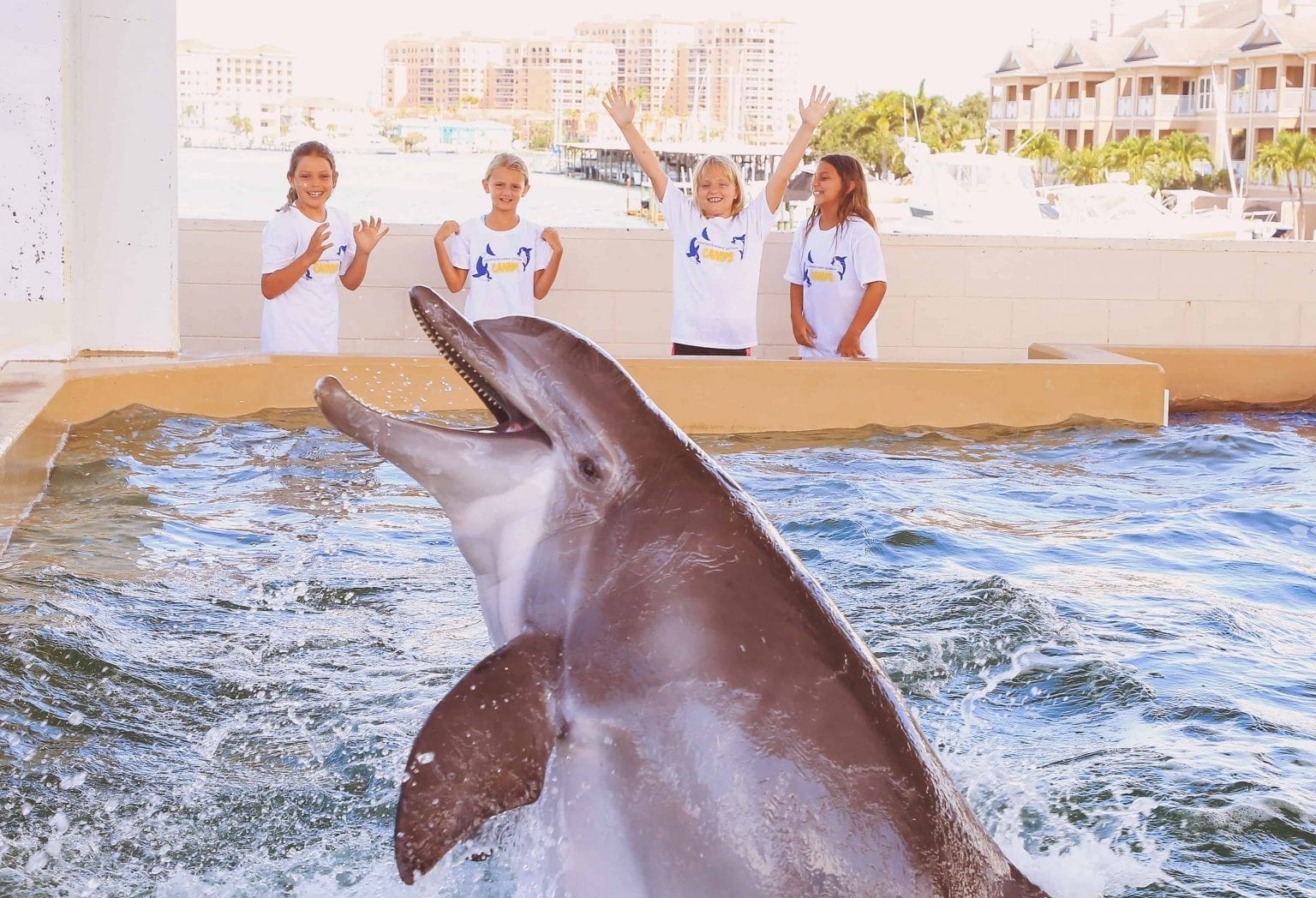 Summer Camp with Winter & Hope Clearwater Marine Aquarium