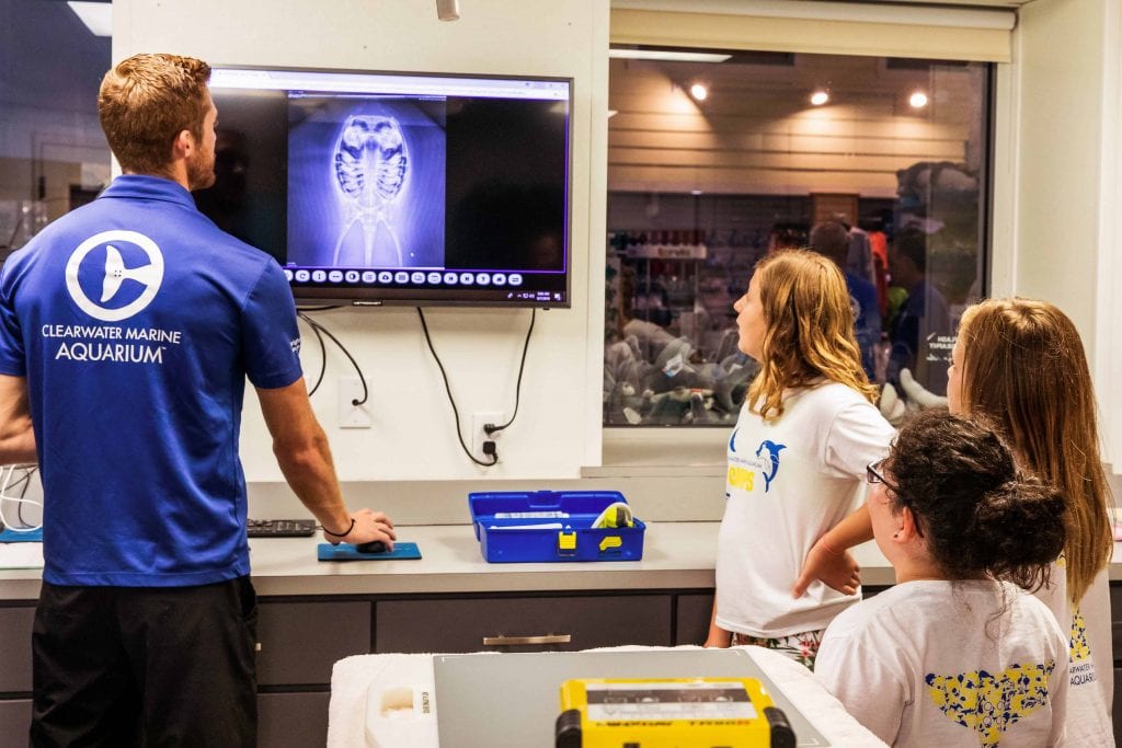 Group of Campers Examining an X-ray in the Surgical Suite