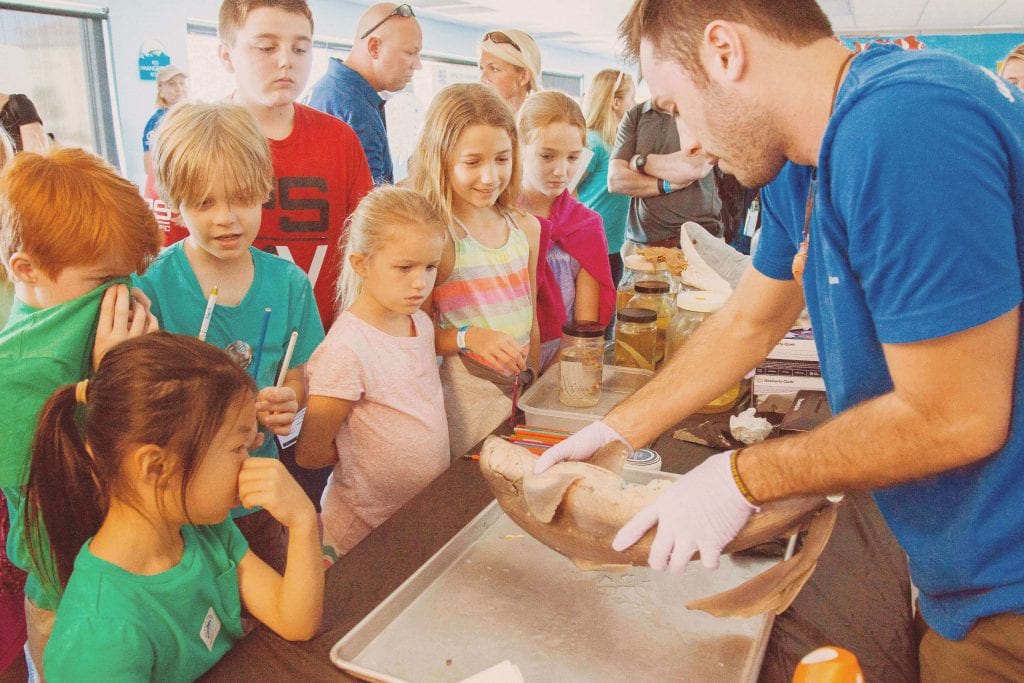 School Group of Kids Watching an Educational Demonstration