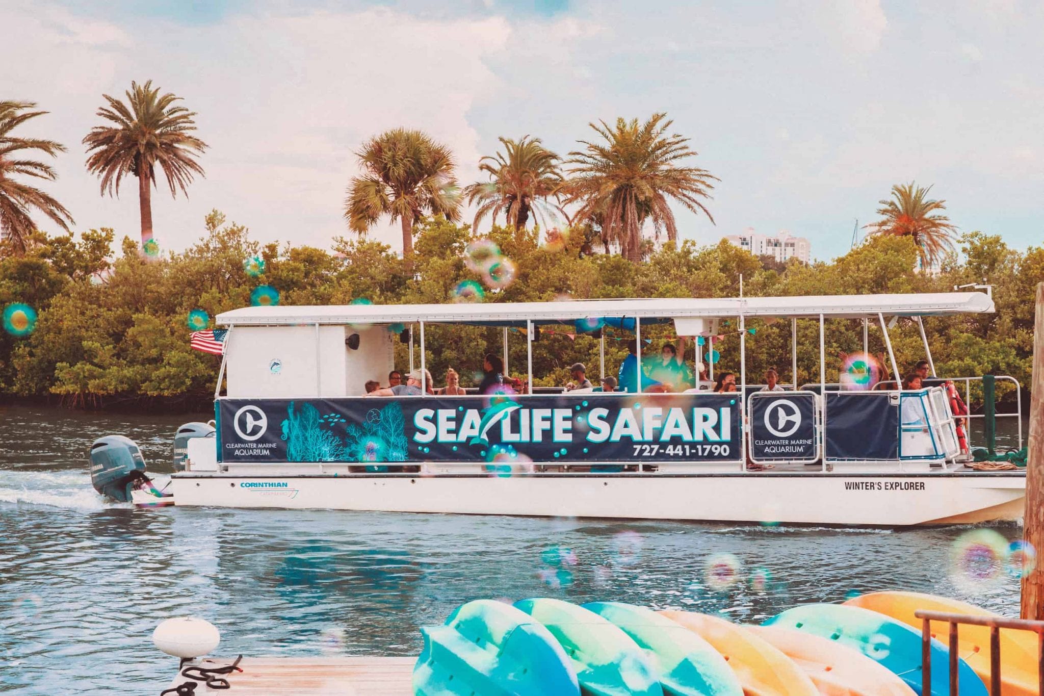 Boat Rides & Guided Tours Clearwater Marine Aquarium