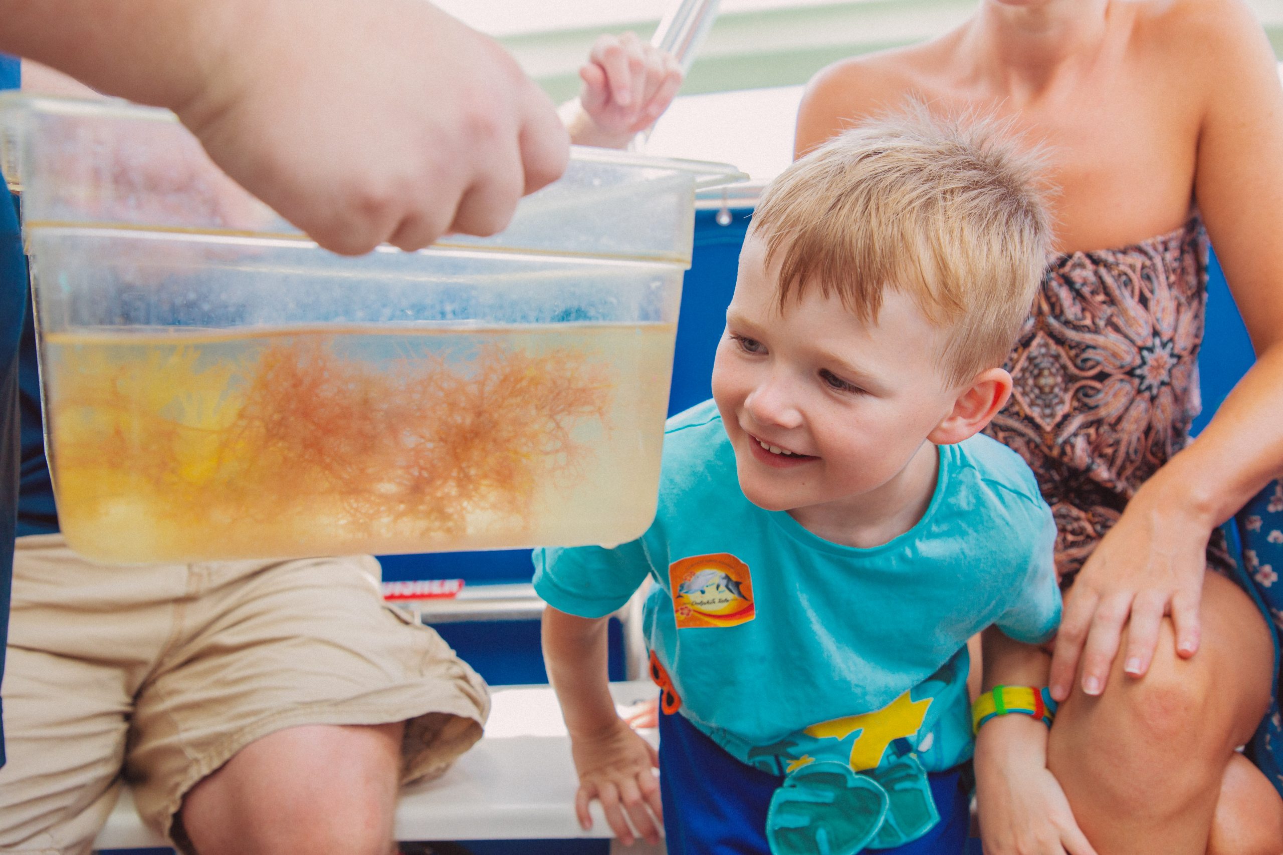 Child Looking at Fish on a Sea Life Safari Tour