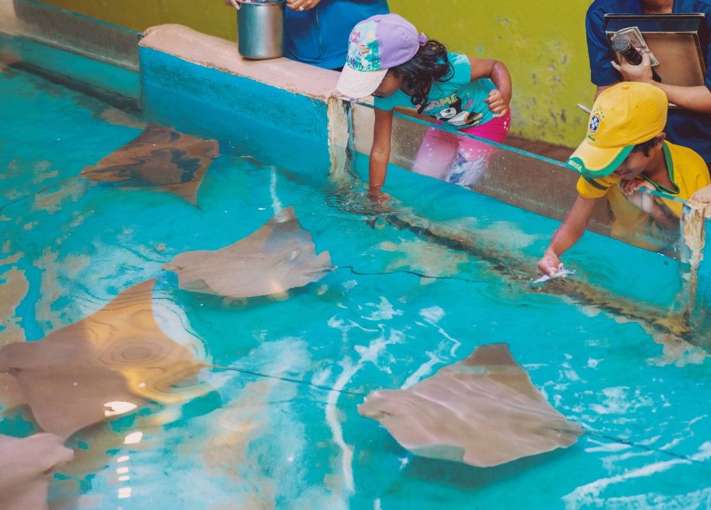 Kids Feeding Stingrays