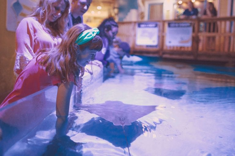 Young Girl Feeding a Stingray