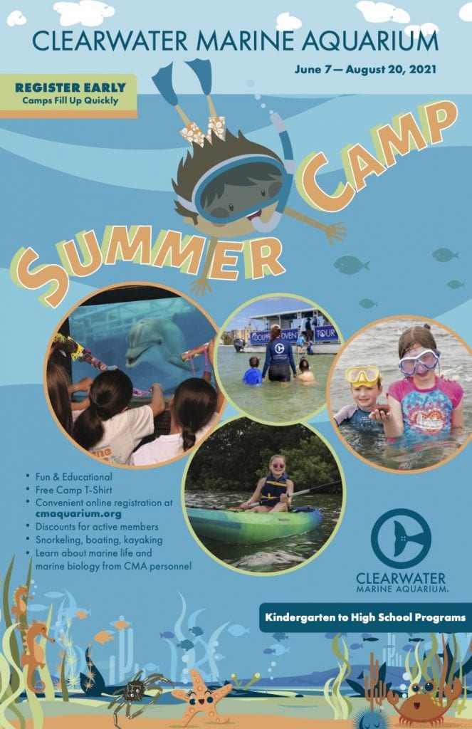 Summer Camp With Winter Hope Clearwater Marine Aquarium