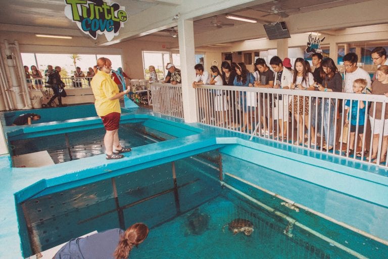 Clearwater Marine Aquarium Map Experiences & Exhibits - Clearwater Marine Aquarium