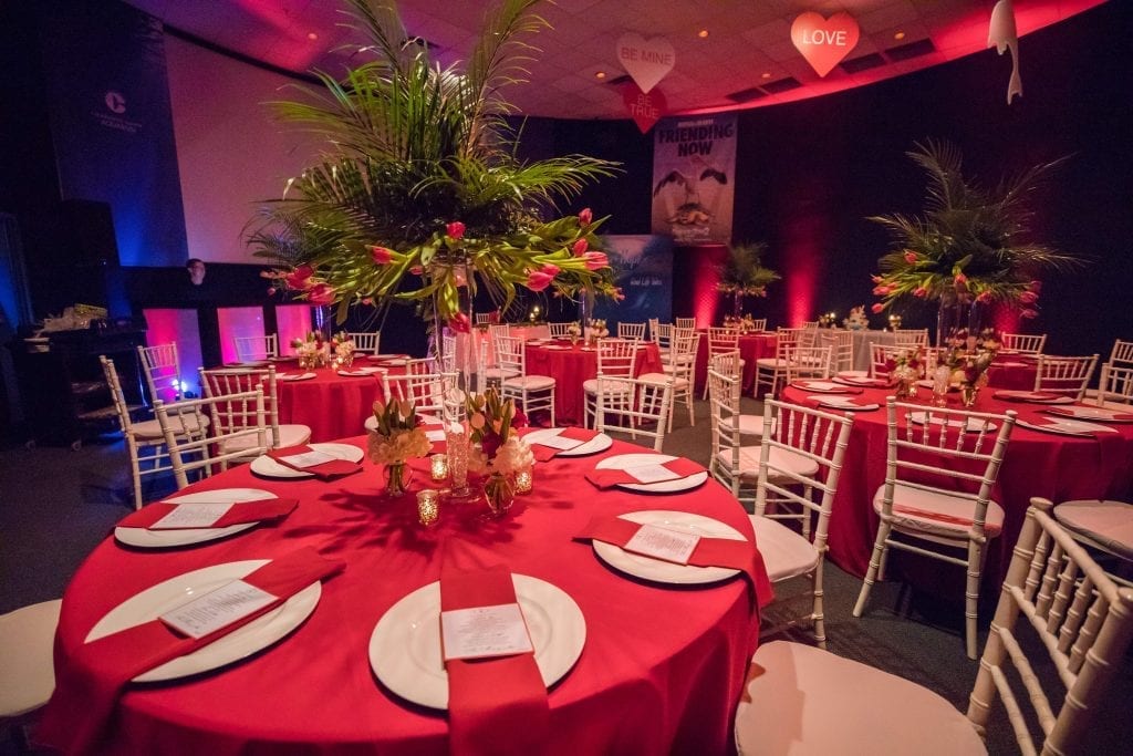 Weddings & Engagements Clearwater Marine Aquarium