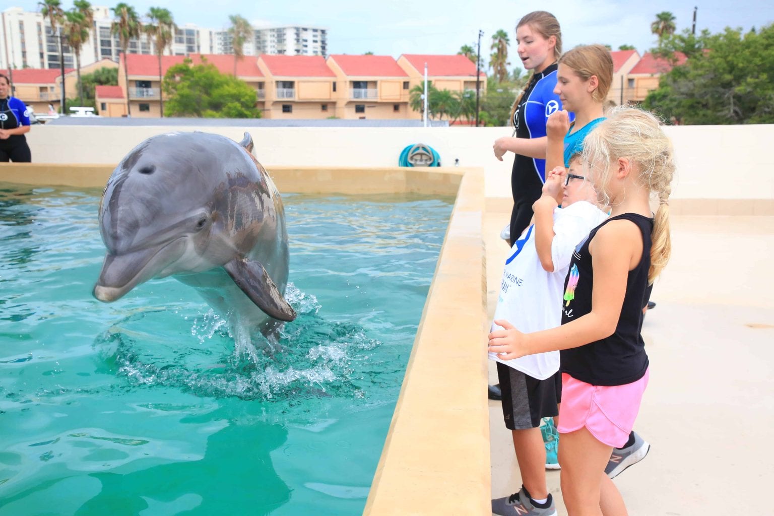 Experiences & Exhibits Clearwater Marine Aquarium