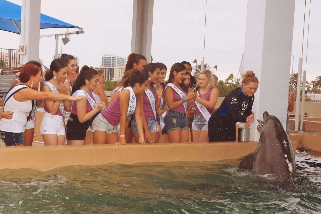 Group of Pageant Girls Visiting a Dolphin