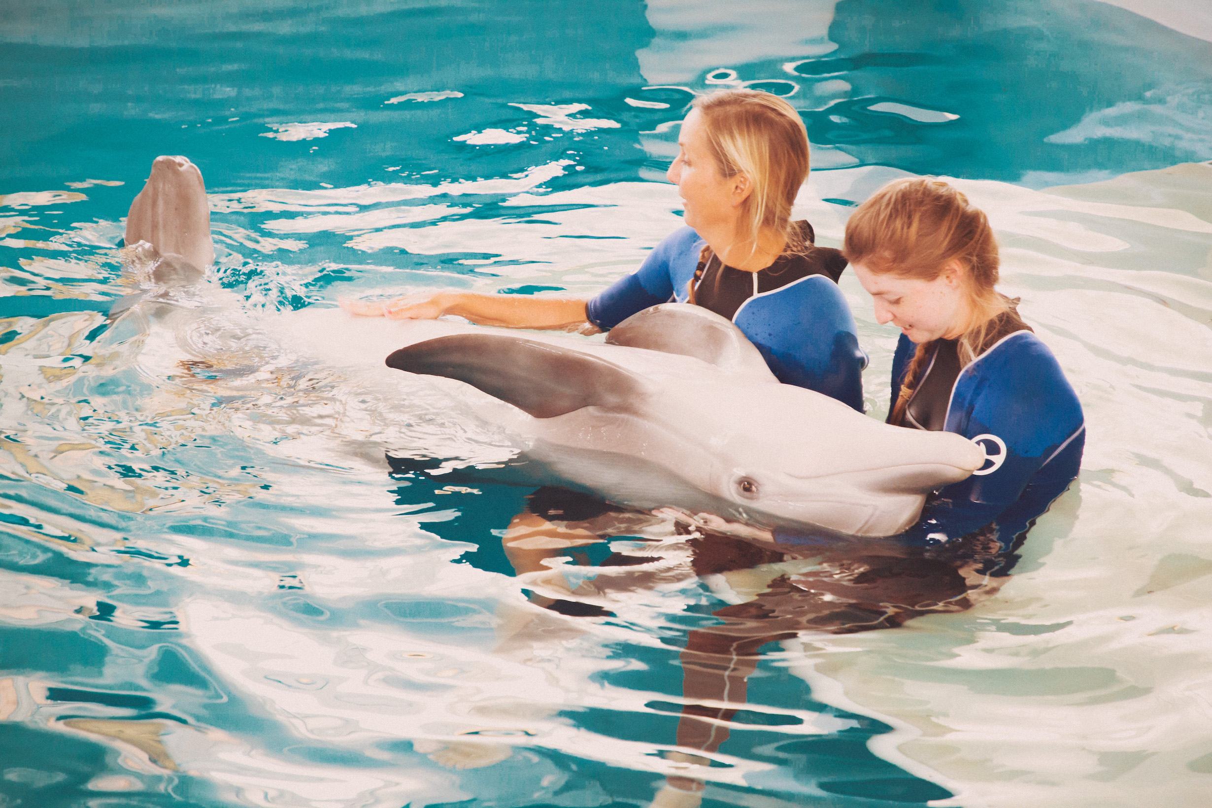 clearwater marine aquarium discount tickets