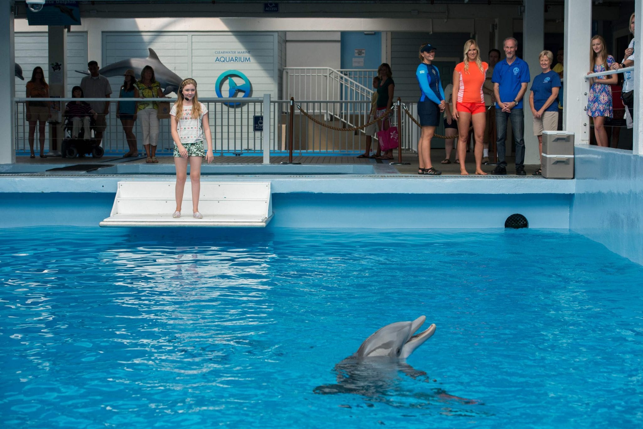 Dolphin Tale Set Clearwater Marine Aquarium