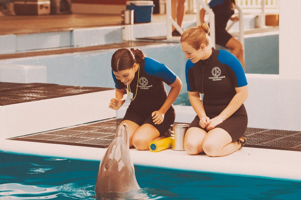 Dolphin Tale Set - Clearwater Marine Aquarium
