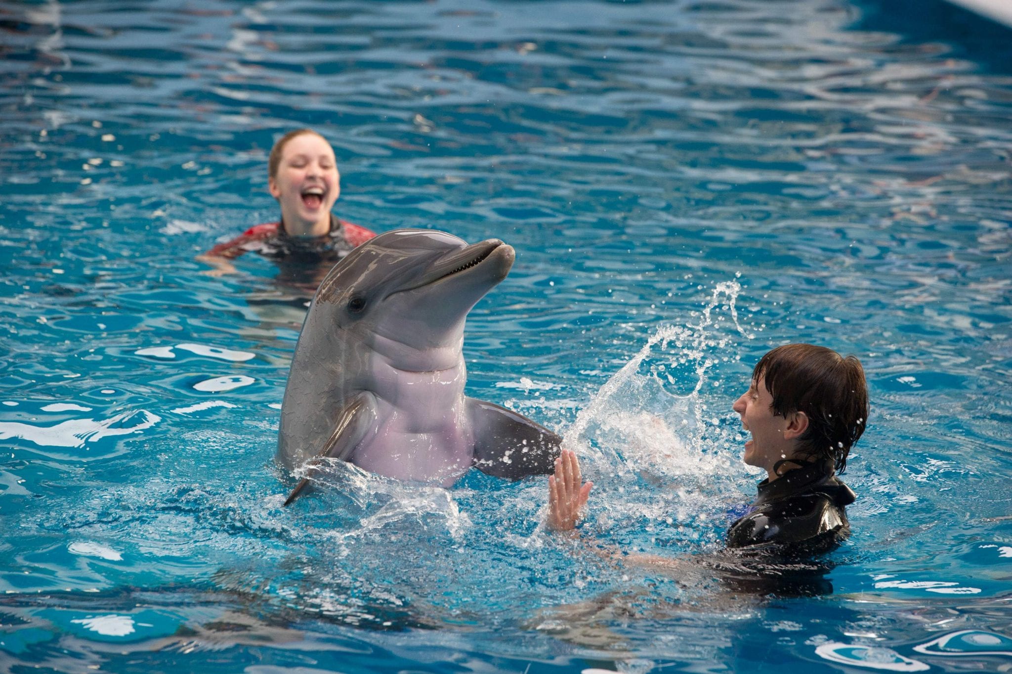 Dolphin Tale Set Clearwater Marine Aquarium