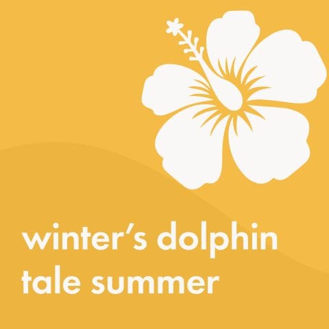 Winter's Dolphin Tale Summer