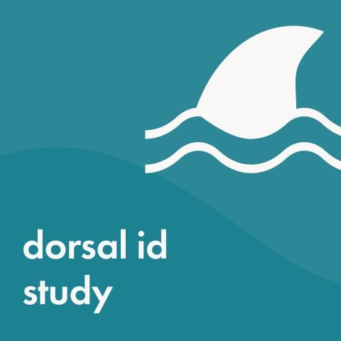 dorsal id study