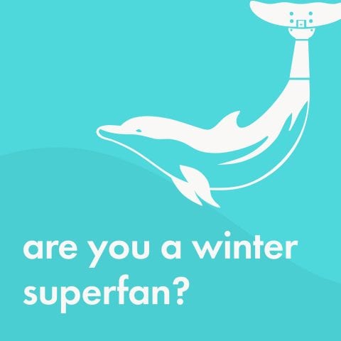 are you a winter superfan?