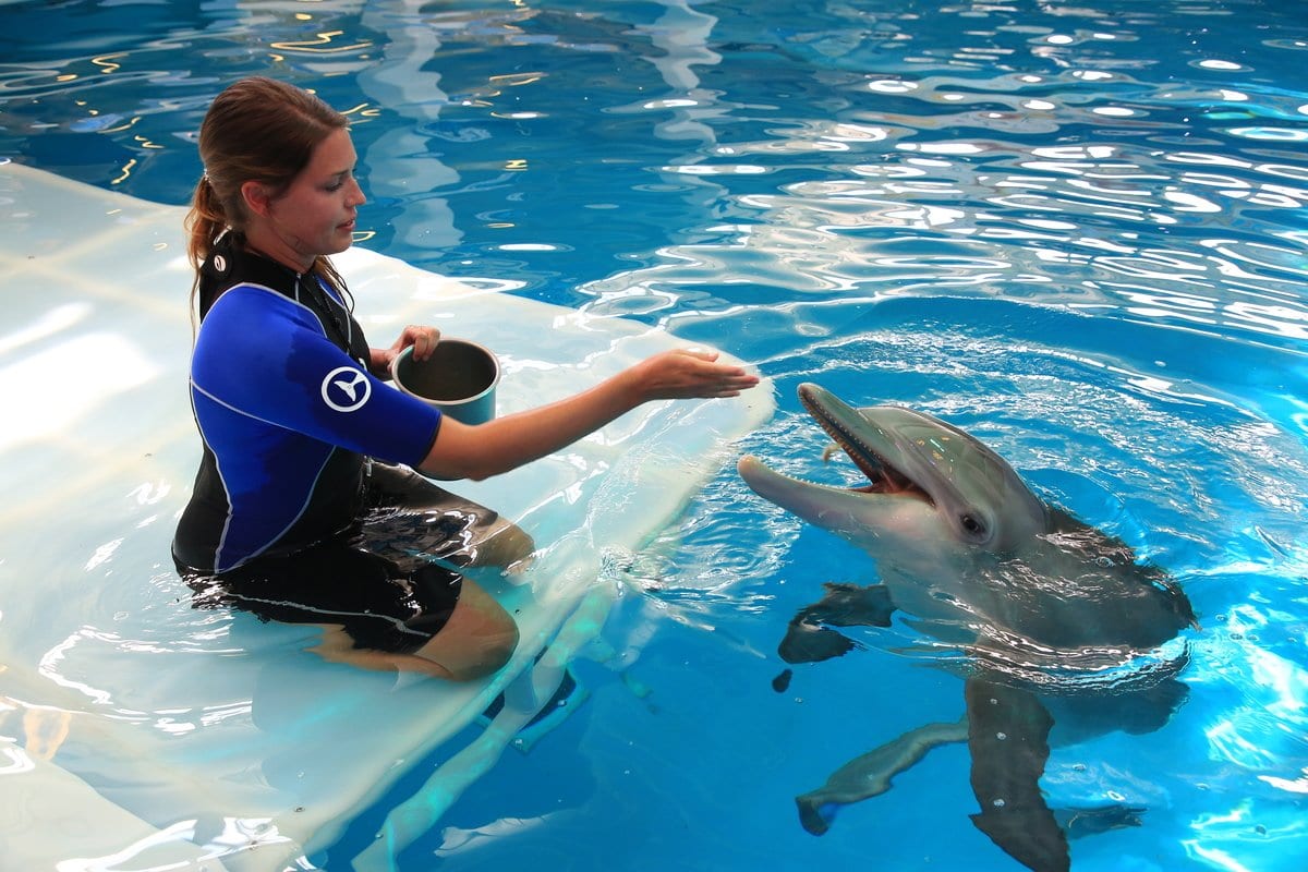 Ways to Show Support Clearwater Marine Aquarium
