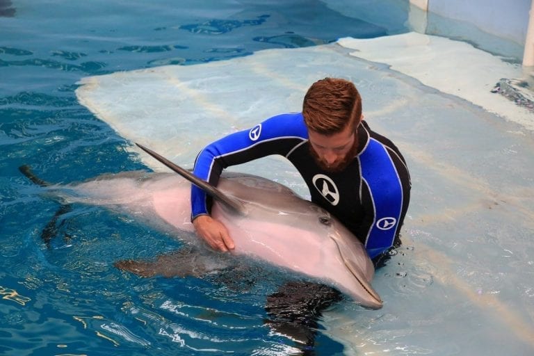 Ways to Show Support Clearwater Marine Aquarium