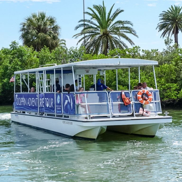 speedboat dolphin tour clearwater